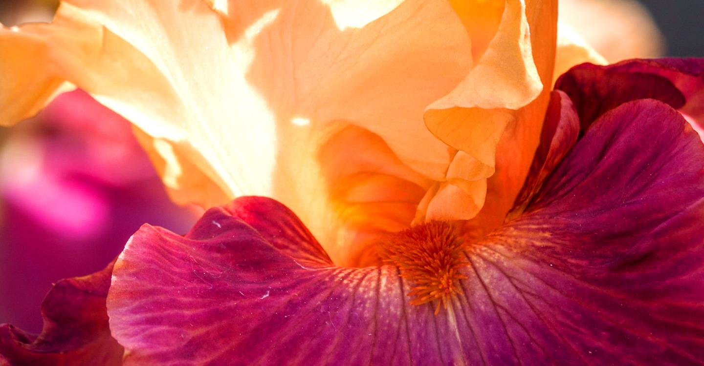 Slider 5